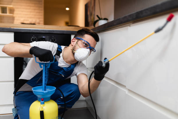 Best Commercial Pest Control Services  in Harlowton, MT