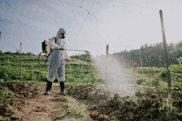Best Affordable Pest Control Services  in Harlowton, MT