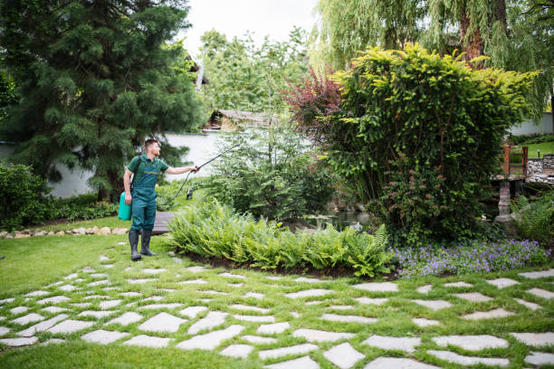 Trusted Harlowton, MT Pest Control Experts