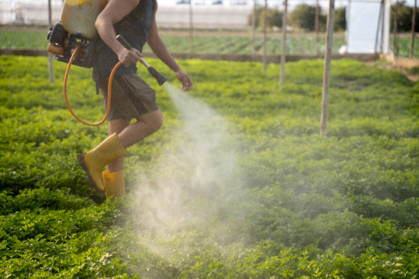 Professional Pest Control in Harlowton, MT