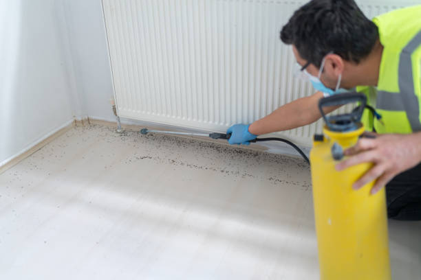 Best Wasp Removal Services  in Harlowton, MT