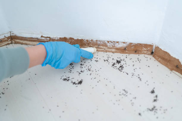 Wildlife Control Services in Harlowton, MT