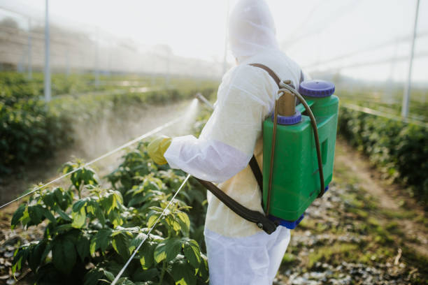 Best Local Pest Control Services  in Harlowton, MT